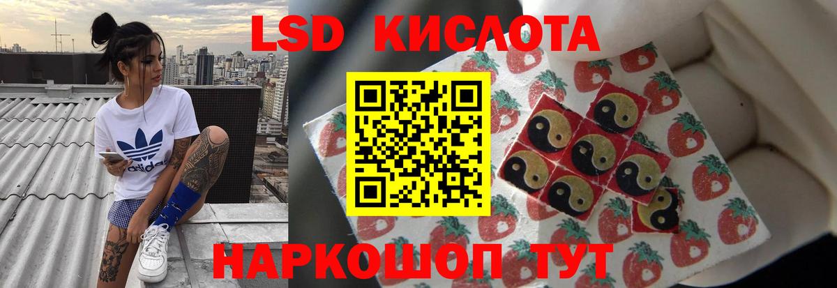 Шебекино  Лсд 25 экстази ecstasy  Вход с VPN  ЛСД экстази ecstasy 