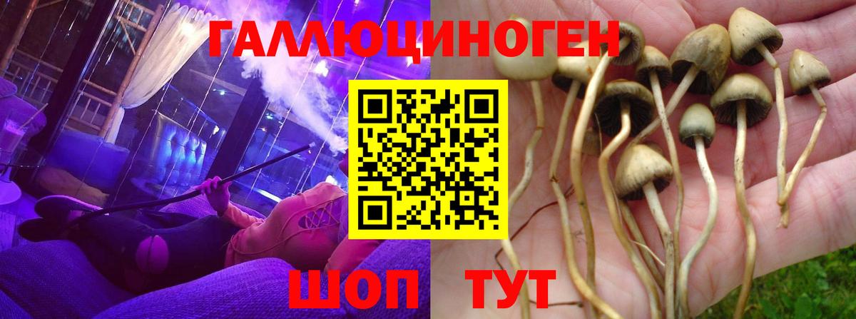 Псилоцибиновые грибы Psilocybe  Вход с VPN  магазин продажи   Шебекино 